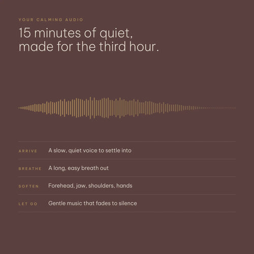 The 3 A.M. Guide + Calming Audio